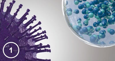 Panasonic nanoe™ X, Ein natürlicher Prozess, Abbildung 1