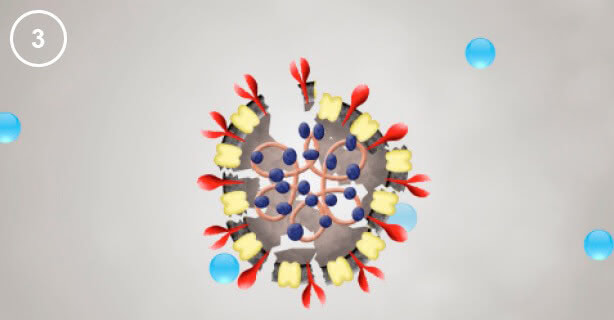 Panasonic nanoe™ X, Viruspartikel, Abbildung 3