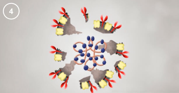 Panasonic nanoe™ X, Viruspartikel, Abbildung 4