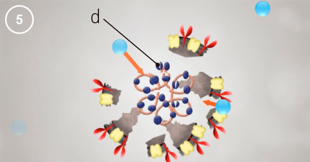 Panasonic nanoe™ X, Viruspartikel, Abbildung 5