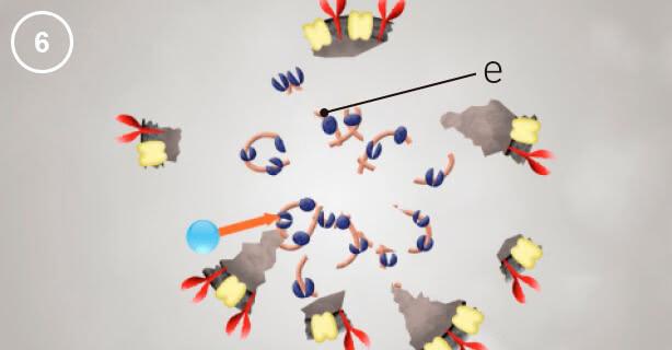 Panasonic nanoe™ X, Viruspartikel, Abbildung 6