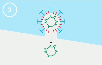 Panasonic nanoe™ X, Infektionsweg, Abbildung 3