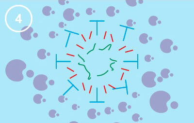 Panasonic nanoe™ X, Infektionsweg, Abbildung 4