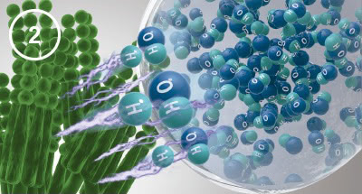 Panasonic nanoe™ X, Wie nanoe™ X funktioniert, Abbildung 2