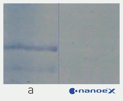 Panasonic nanoe™ X, Gegen Allergene, Hemmwirkung: Gräserpollen