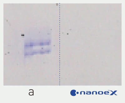 Panasonic nanoe™ X, Gegen Allergene, Hemmwirkung: Pollen