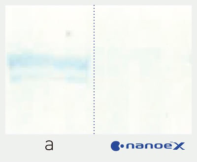 Panasonic nanoe™ X, Gegen Allergene, Hemmwirkung: Schimmelpilze