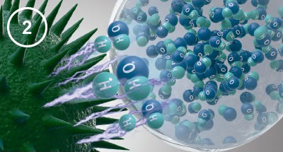 Panasonic nanoe™ X, Gegen Allergene, Wie nanoe™ X funktioniert, Abbildung 2