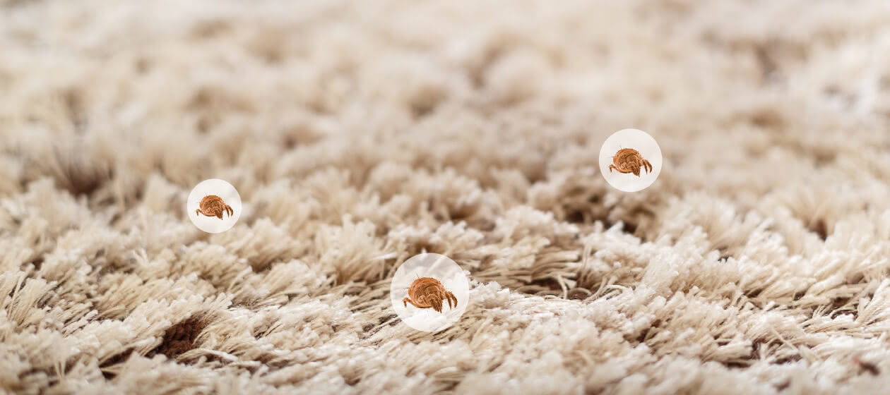 Panasonic nanoe™ X, Gegen Allergene