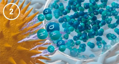 Panasonic nanoe™ X, Gegen Pollen, So funktioniert nanoe™ X, Abbildung 2