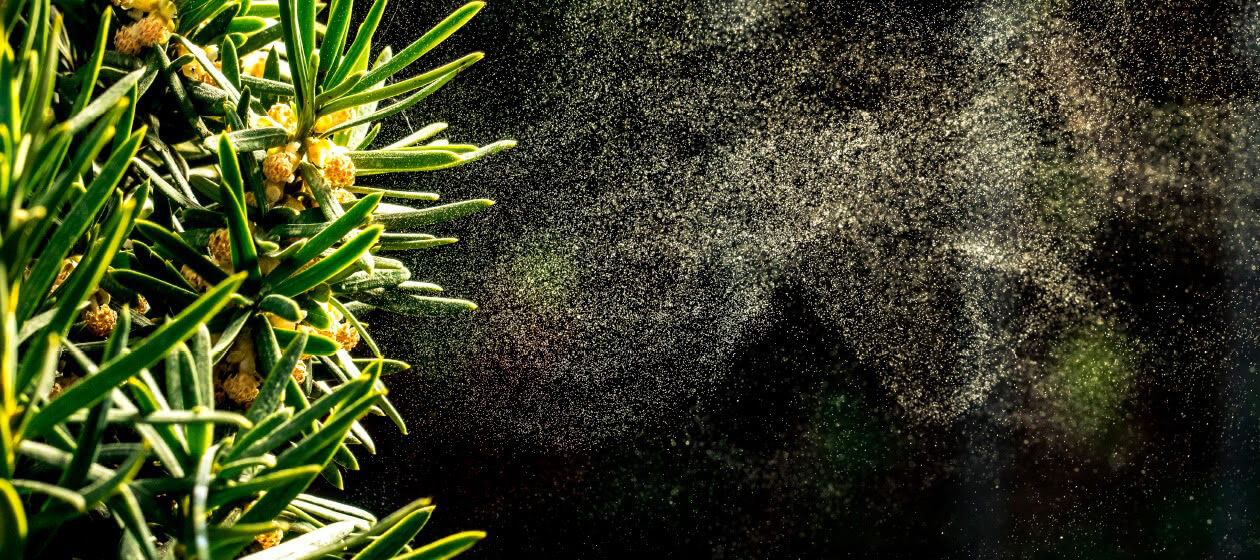 Panasonic nanoe™ X, Gegen Pollen