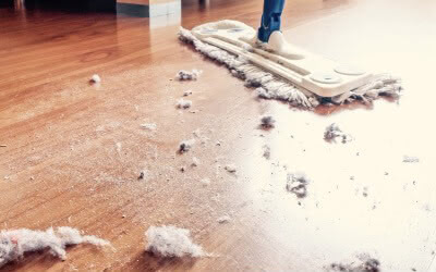 Panasonic nanoe™ X, Gegen Schimmelsporen, Foto 1