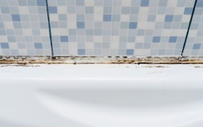 Panasonic nanoe™ X, Gegen Schimmelsporen, Foto 2