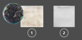 Panasonic nanoe™ X, Gegen Schimmelsporen, Foto: Alternaria