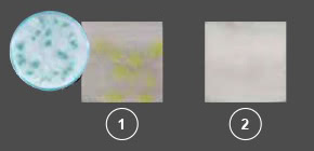 Panasonic nanoe™ X, Gegen Schimmelsporen, Foto: Eurotium