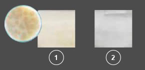 Panasonic nanoe™ X, Gegen Schimmelsporen, Foto: Mucor