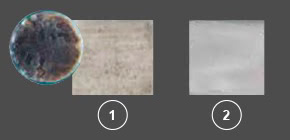 Panasonic nanoe™ X, Gegen Schimmelsporen, Foto: Alternaria